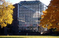 Wilson Commons in the fall